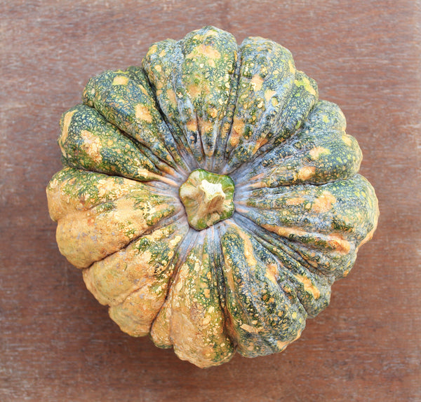 Cucurbita moschata Varieties
