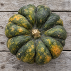 Yuxi Jiang Bing Gua squash - top-down view of the deeply lobed dark green rind and corked stem - Chinese heirloom moschata
