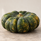 Yuxi Jiang Bing Gua squash - side profile of the flattened drum-shaped fruit on stone - Chinese heirloom moschata