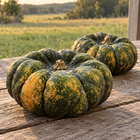 Yuxi Jiang Bing Gua squash - two fruit on a porch rail at sunset with a prairie field behind - Chinese heirloom moschata