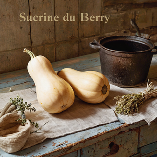 Sucrine du Berry squash in farmhouse kitchen - French heirloom winter squash