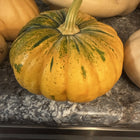 Wan Fu F1 pumpkin - orange ribbed fruit with green flecking - Chinese kabocha hybrid