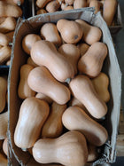 Baker's Branch butternut squash, whole tan fruit packed in a cardboard harvest crate