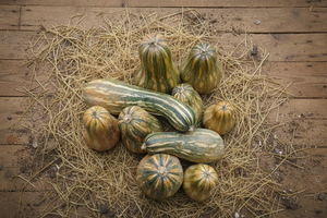Cuban Neck pumpkin sliced open showing dense orange flesh