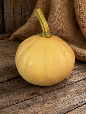 Doran Round squash, whole buff-tan fruit with thick green stem on weathered wood - open-pollinated Cucurbita moschata