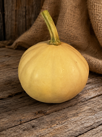Doran Round squash, whole buff-tan fruit with thick green stem on weathered wood - open-pollinated Cucurbita moschata