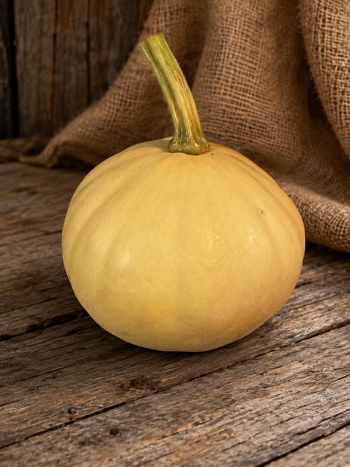 Doran Round squash, whole buff-tan fruit with thick green stem on weathered wood - open-pollinated Cucurbita moschata