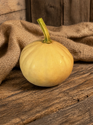 Doran Round squash on burlap showing its round, slightly ribbed shape - vine borer resistant moschata variety