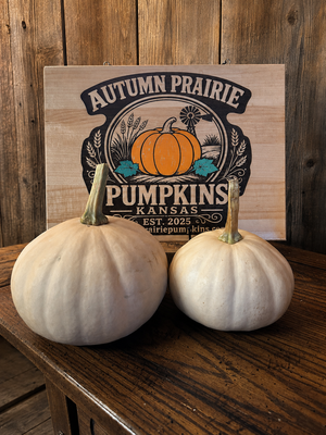 Two Doran Round squash beside the Autumn Prairie Pumpkins Kansas sign - small round moschata storage squash