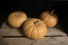 Three whole Long Island Cheese pumpkins, flat tan ribbed heirloom Cucurbita moschata, resting on a wooden crate