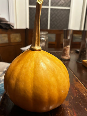 Seminole pumpkin harvest - Native American heirloom pumpkin seeds - butterscotch sweet flesh