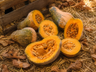 Jamaican Tropical pumpkin halves with deep orange flesh beside a wooden crate - Caribbean moschata heirloom seeds