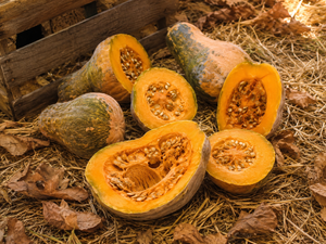 Jamaican Tropical pumpkin halves with deep orange flesh beside a wooden crate - Caribbean moschata heirloom seeds