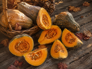 Jamaican Tropical pumpkins in a basket with autumn leaves - Caribbean calabaza heirloom for soups and stews