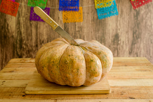 Magdalena Big Cheese squash seeds heirloom Cucurbita moschata
