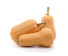 Three tan Mrs. Amerson's squash with bulbed ends and short necks on a white background, heirloom Cucurbita moschata