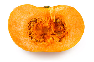 New England Cheddar F1 pumpkin growing on vine showing distinctive orange ribbed skin