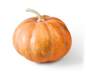 New England Cheddar F1 pumpkin cross-section showing rich orange flesh ideal for pies and soups