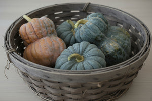 Shishigatani Squash Seeds, Rare Kyoto Heirloom - heirloom variety - seeds