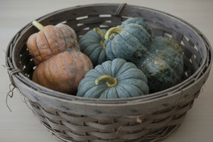Shishigatani squash seeds packet - Weird & Wonderful Heirlooms Bundle