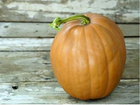 Dickinson pumpkin cut open showing smooth orange pie filling flesh