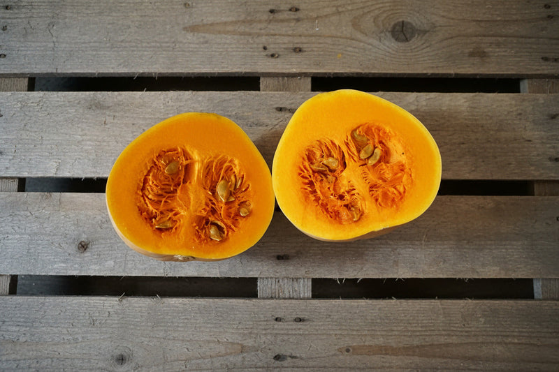 Seminole pumpkin seeds close-up view
