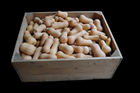 South Anna Butternut - open-pollinated seeds from Autumn Prairie Pumpkins