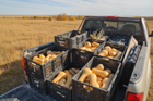 South Anna Butternut squash harvested into black crates in a pickup bed, prairie grass and autumn trees behind