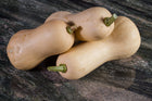 Waltham Butternut squash on a stone surface
