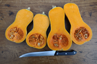 Xiye Butternut in the garden