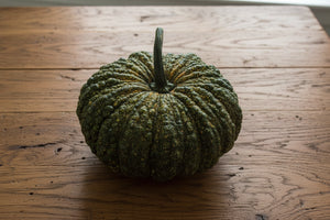 Thai Kang Kob pumpkin growing on vine