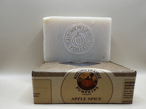 Apple Spice cold process soap - handmade 4.5 oz bar stamped with the Autumn Prairie Pumpkins pumpkin - Newton Kansas
