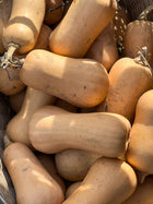 Waltham butternut squash seeds - disease resistant heirloom - Cucurbita moschata