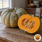 Illustrative cut Calabaza de Castilla squash showing orange flesh and seeds