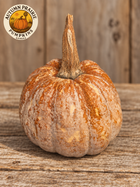 Orange-tan Chinese Tropical pumpkin with cream mottling and a long corky stem on rustic wood, with the Autumn Prairie Pumpkins logo.