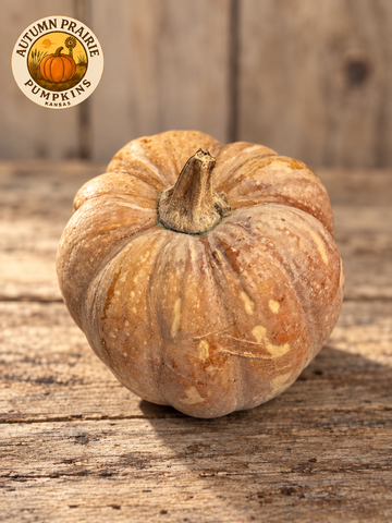 Tan Chinese Tropical pumpkin with cream mottling and a short corky stem on weathered wood, with the Autumn Prairie Pumpkins logo.