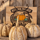 Three tan Chinese Tropical pumpkins with cream mottling and corky stems on rustic wood in front of the Autumn Prairie Pumpkins sign.