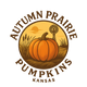 Autumn Prairie Pumpkins