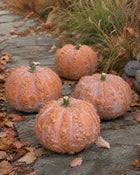 Three Musquee de Maroc pumpkins on stone walkway - warted Moroccan heirloom - Cucurbita moschata