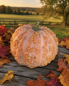 Musquee de Maroc pumpkin on rustic wood with autumn leaves - warted heirloom - Cucurbita moschata