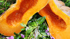 Cut Musquee de Provence pumpkin showing orange flesh
