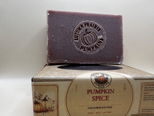 Pumpkin Spice cold process soap - handmade 4.5 oz bar stamped with the Autumn Prairie Pumpkins pumpkin - Newton Kansas