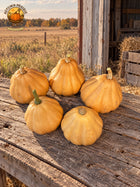 Five tan Seminole pumpkins on weathered wood beside a Kansas prairie field in warm natural light. Autumn Prairie Pumpkins logo at upper left.