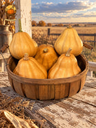 Basket of five tan Seminole pumpkins on a weathered farm table against a softly blurred Kansas prairie. Autumn Prairie Pumpkins logo at upper left.