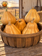Close basket portrait of five tan Seminole pumpkins in a warm, realistic prairie farm setting. Autumn Prairie Pumpkins logo at upper left.