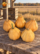 Five tan Seminole pumpkins arranged on an aged wood sorting table beside open Kansas prairie. Autumn Prairie Pumpkins logo at upper left.