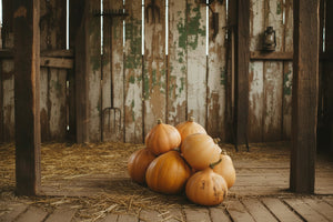 Seminole pumpkin seeds heirloom variety