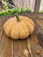 Spell Cast F1 pumpkin, close portrait of buff-tan ribbed fruit on a weathered wood porch table with APP watermark.
