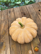 Top view of a buff-tan Spell Cast F1 pumpkin on a weathered wood porch table with APP watermark.