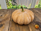 Wide front view of a buff-tan Spell Cast F1 pumpkin on a weathered wood porch table with APP watermark.